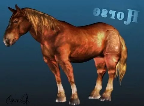 Bay Horse 3d model