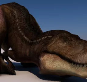 T-rex Dinosaur 3d model
