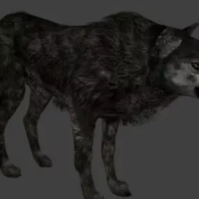 Wild Wolf Animal 3d model