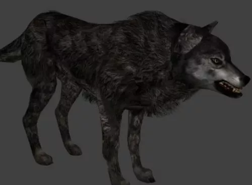 Wolf In Forest 3d model