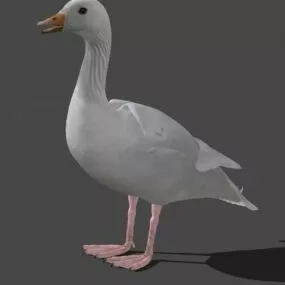 Goose 3d model