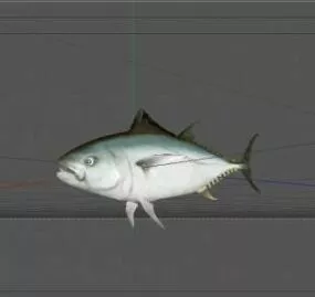 Tuna Fish Sea Animal 3d model