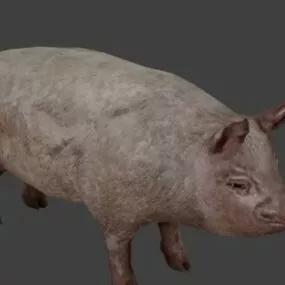 Pig 3d model