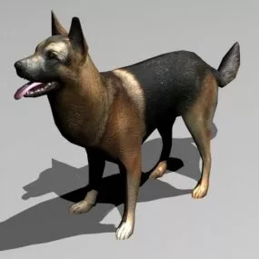Alsatian Dog 3d model