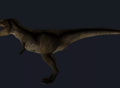 Dinosaur 3d model Dinosaur 3d model