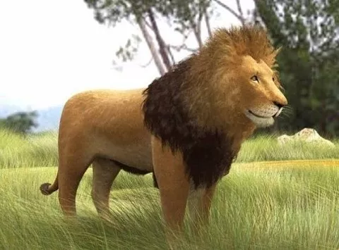 Sculpture Lion Rock Material 3d model