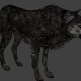 Wolf Character 3d model