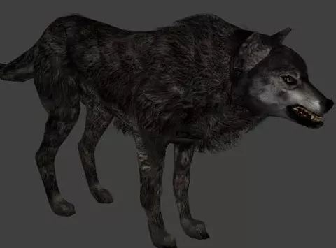 Wolf Character 3d model Wolf Character 3d model