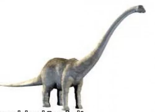 Diplodoc Dinosaur Animal 3d model Diplodoc Dinosaur Animal 3d model