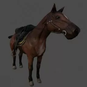 German Horse 3d model