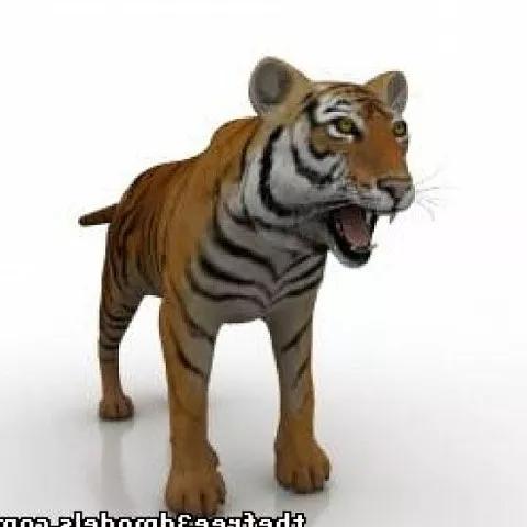 Wild Tiger 3d model Wild Tiger 3d model
