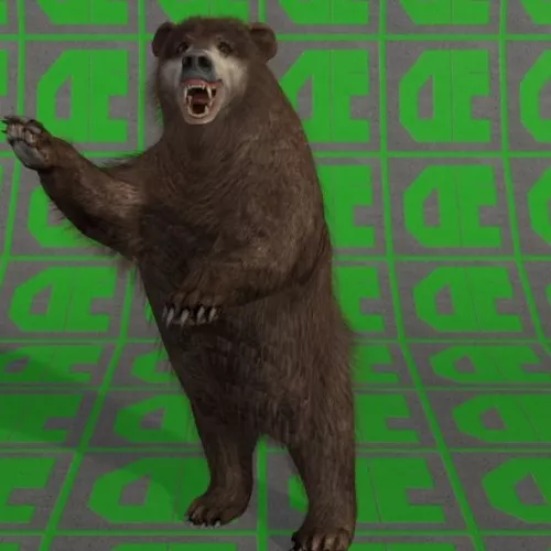 Bear Animal 3d model Bear Animal 3d model