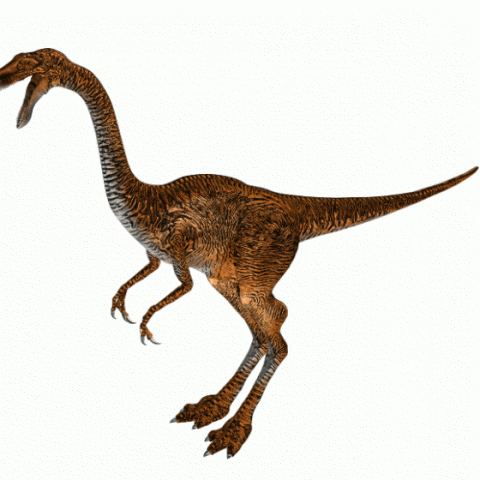 Brachylophosaurus Dinosaur 3d model