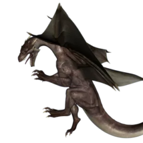 Western Dragon 3d model