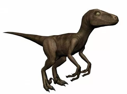 Pterosaur Dinosaur 3d model