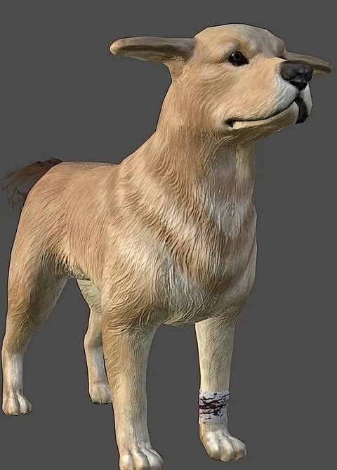 Wild Dog 3d model Wild Dog 3d model