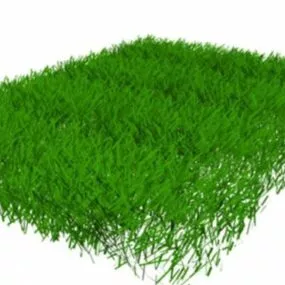 Green Grass Field 3d model