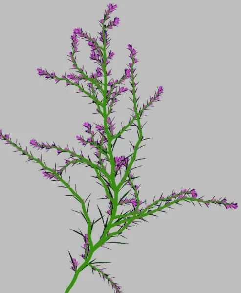Violet Flower 3d model Violet Flower 3d model
