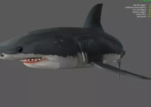 Jaws Shark 3d model Jaws Shark 3d model