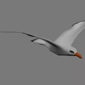 Sea Gul Animal 3d model