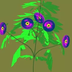 Crisantemum Flower Plant 3d model