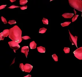 Flying Rose Petals 3d model