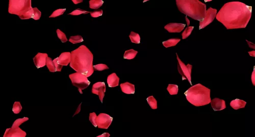 Flying Rose Petals 3d model Flying Rose Petals 3d model
