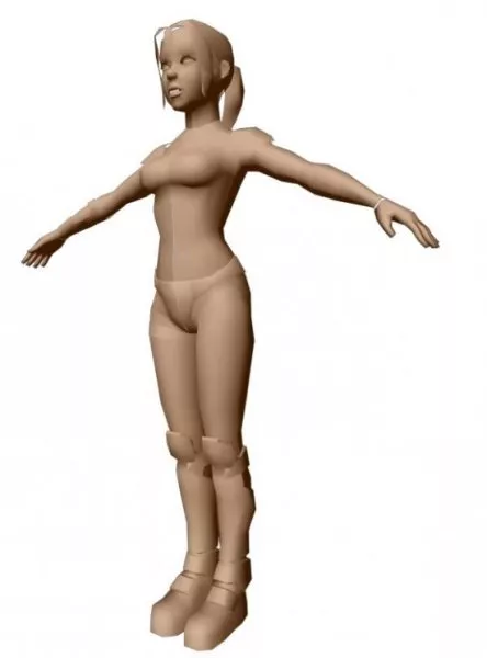 Full Body Muscular System 3d model
