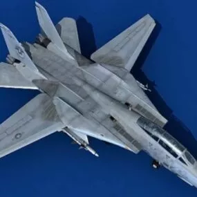 Grumman Aircraft F14 Tomcat 3d model