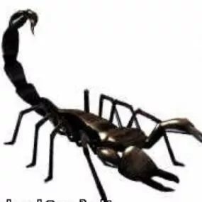 Scorpion 3d model
