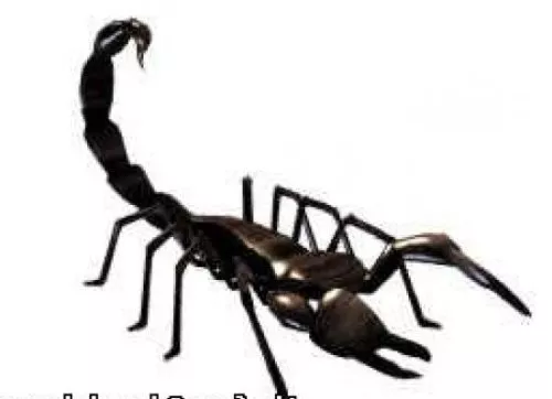 Black Scorpion Monster 3d model