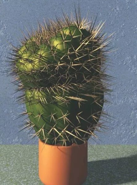 Cactus In Pot 3d model Cactus In Pot 3d model