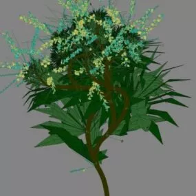 Plant 14 3d model
