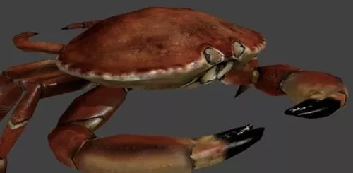 Crab 3d model Crab 3d model