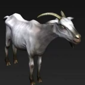 Animal Goat 3d model