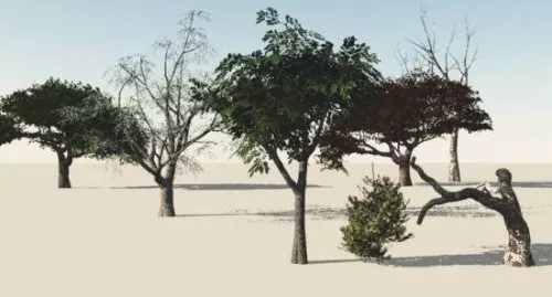 Trees Collection Free 3d model Trees Collection Free 3d model