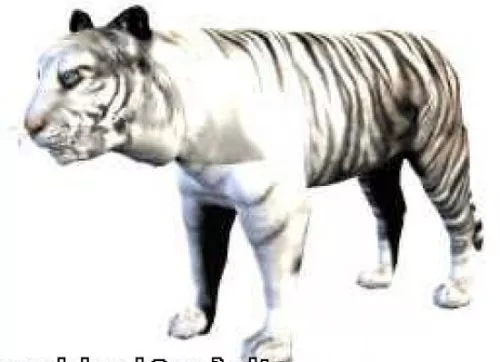 Polygon Tiger 3d model