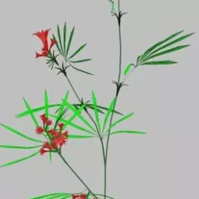 Flower Simple Lowpoly 3d model