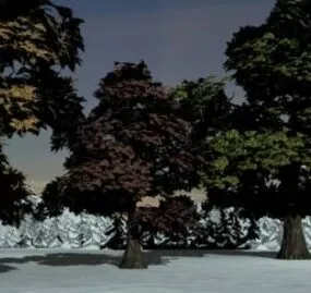 Collection Oaks Trees Set 3d model