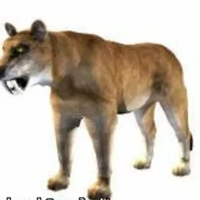 Sabertooth Animal 3d model