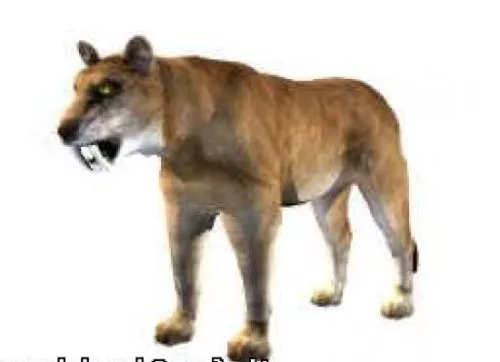 Sabertooth Animal 3d model Sabertooth Animal 3d model