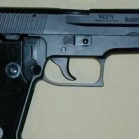 Sig Gun e 3d model
