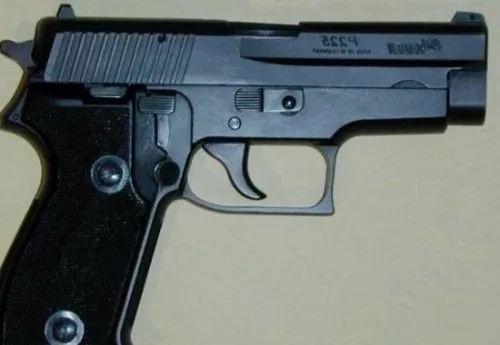 Sig Gun e 3d model Sig Gun e 3d model