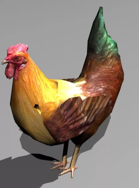 Rooster 3d model Rooster 3d model