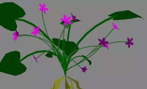 Purple Flower Tree 3d model Purple Flower Tree 3d model