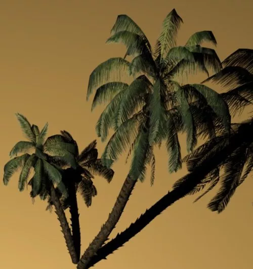 High Poly Coconut Tree 3d model High Poly Coconut Tree 3d model