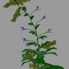 Tall Flower Lowpoly 3d model