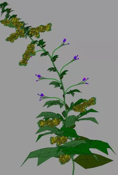 Tall Flower Lowpoly 3d model Tall Flower Lowpoly 3d model