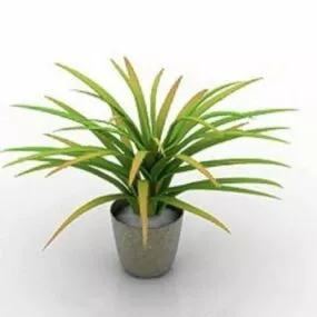 House Plant Pot Indoor 3d model