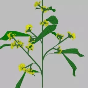 Yellow Flower 3d model